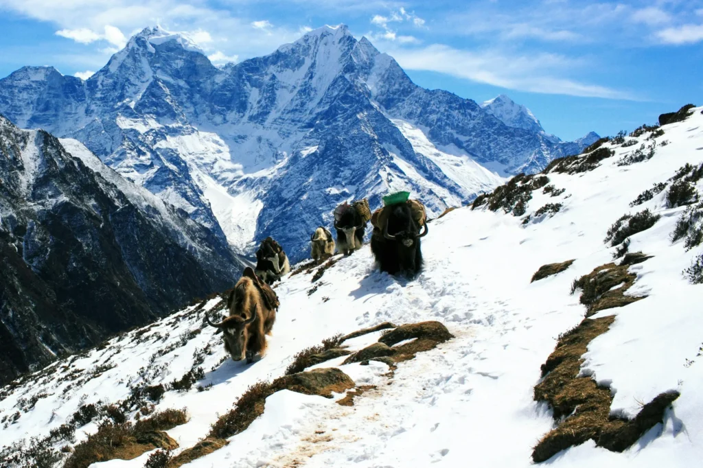 Everest Region