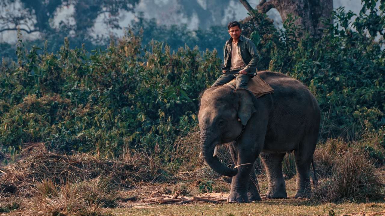 Chitwan